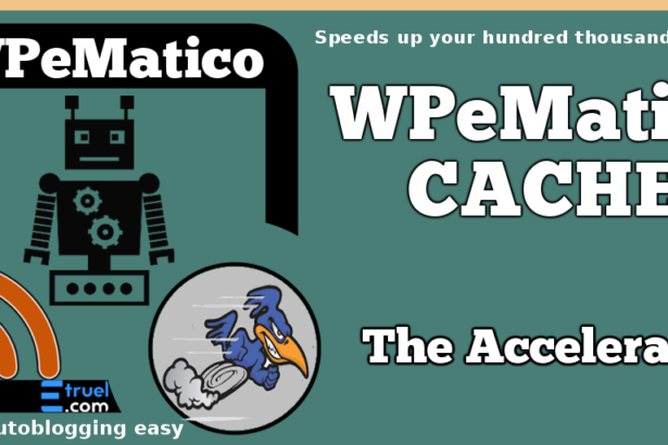 wpematico cache - WPeMatico