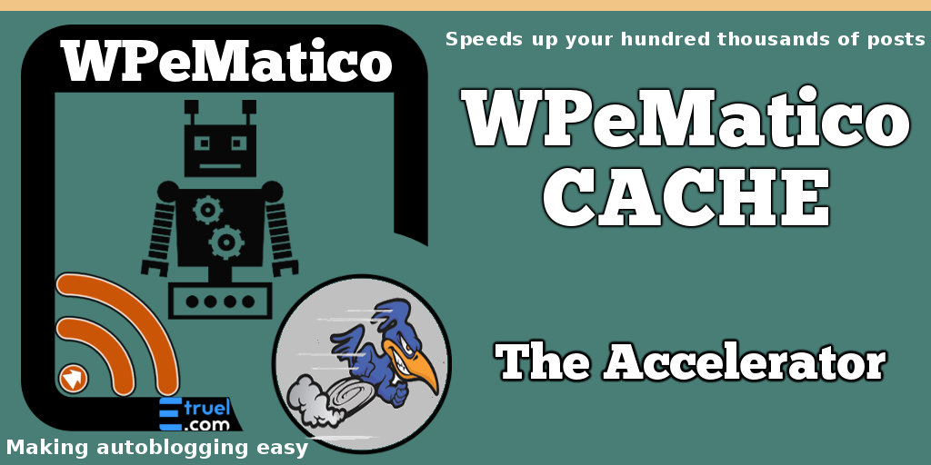 wpematico cache - WPeMatico